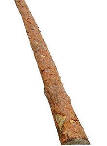 1589108